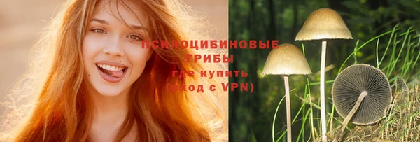 эйфоретик Гусев