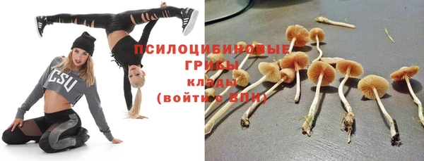 mdpv Гусиноозёрск