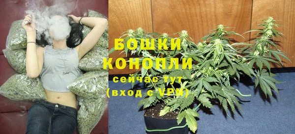 марки lsd Гусь-Хрустальный