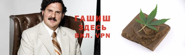 эйфоретик Гусев