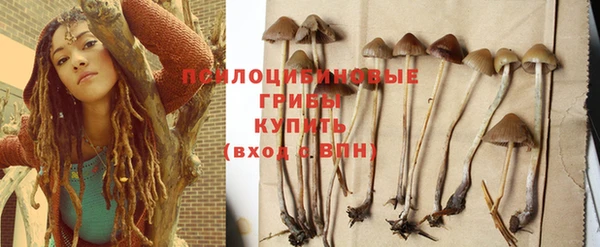 эйфоретик Гусев