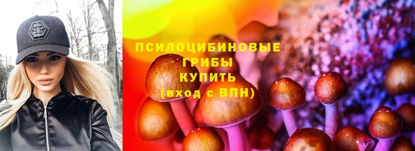 mdpv Гусиноозёрск
